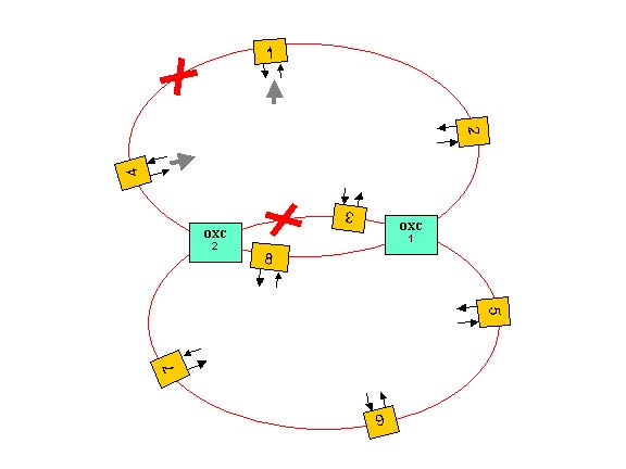 Optical System - Figure 1 - Two interconnected ring network layout